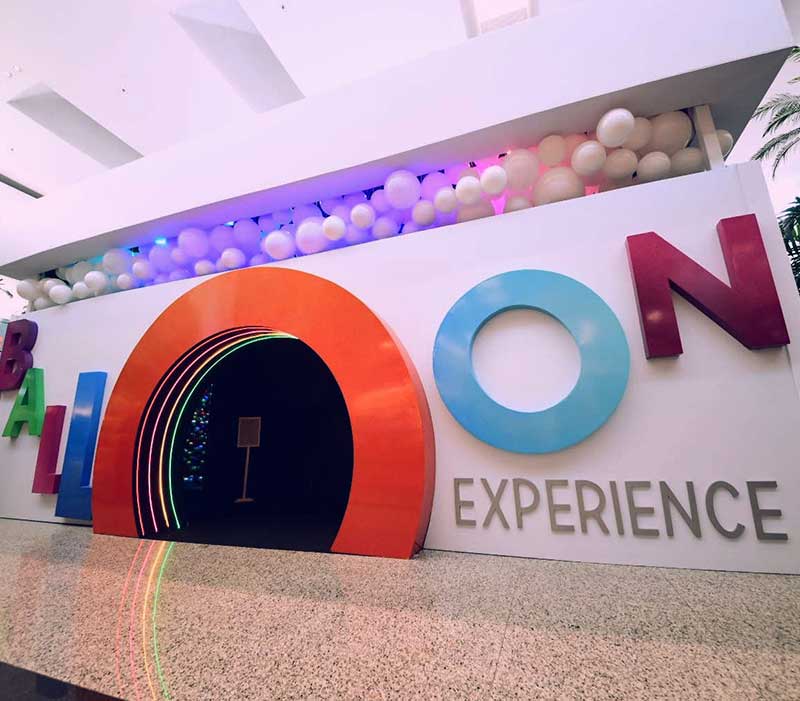 Balloon Experience - Galeria